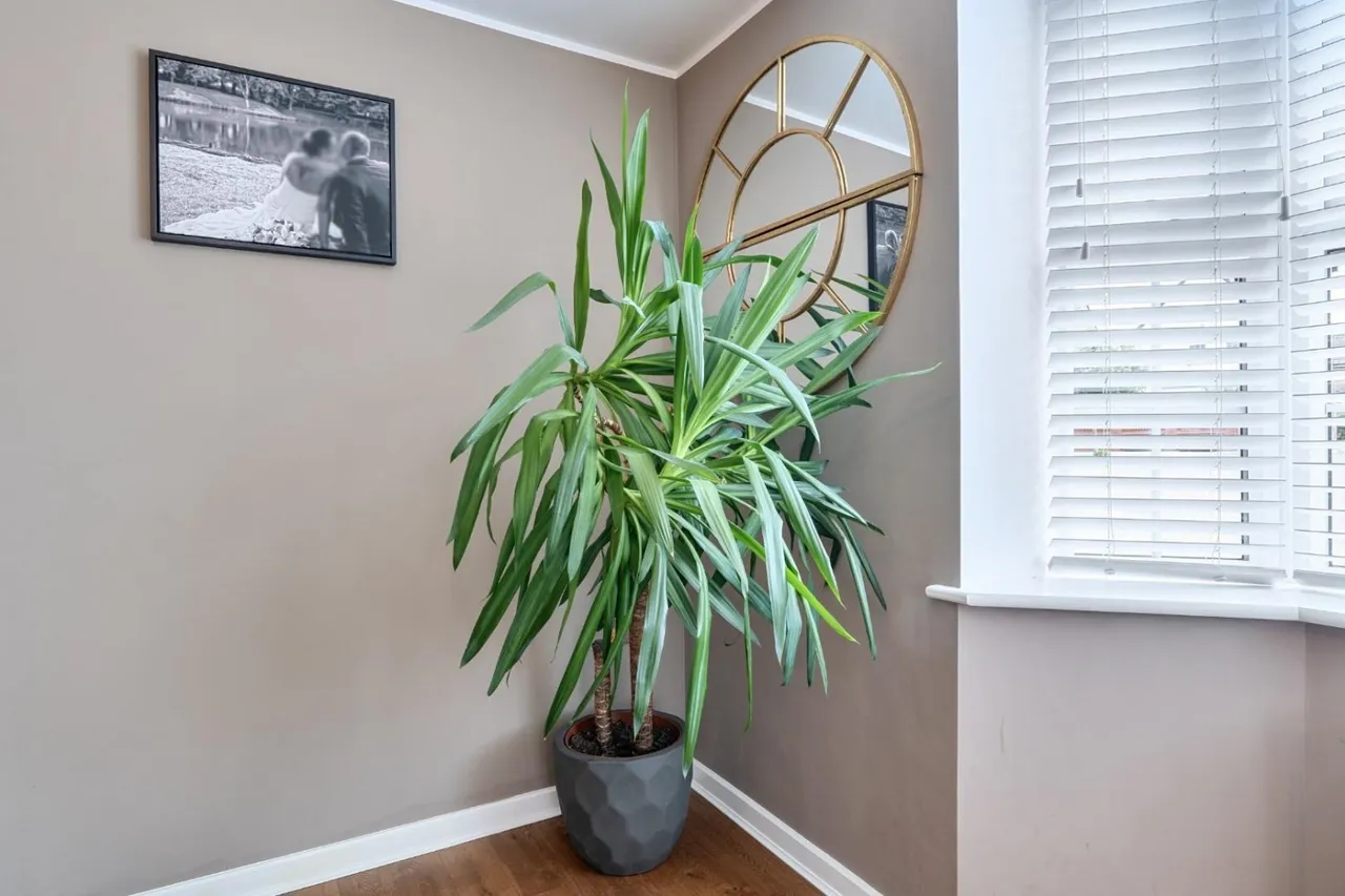 Field View, Wetherby, LS22, photo 14