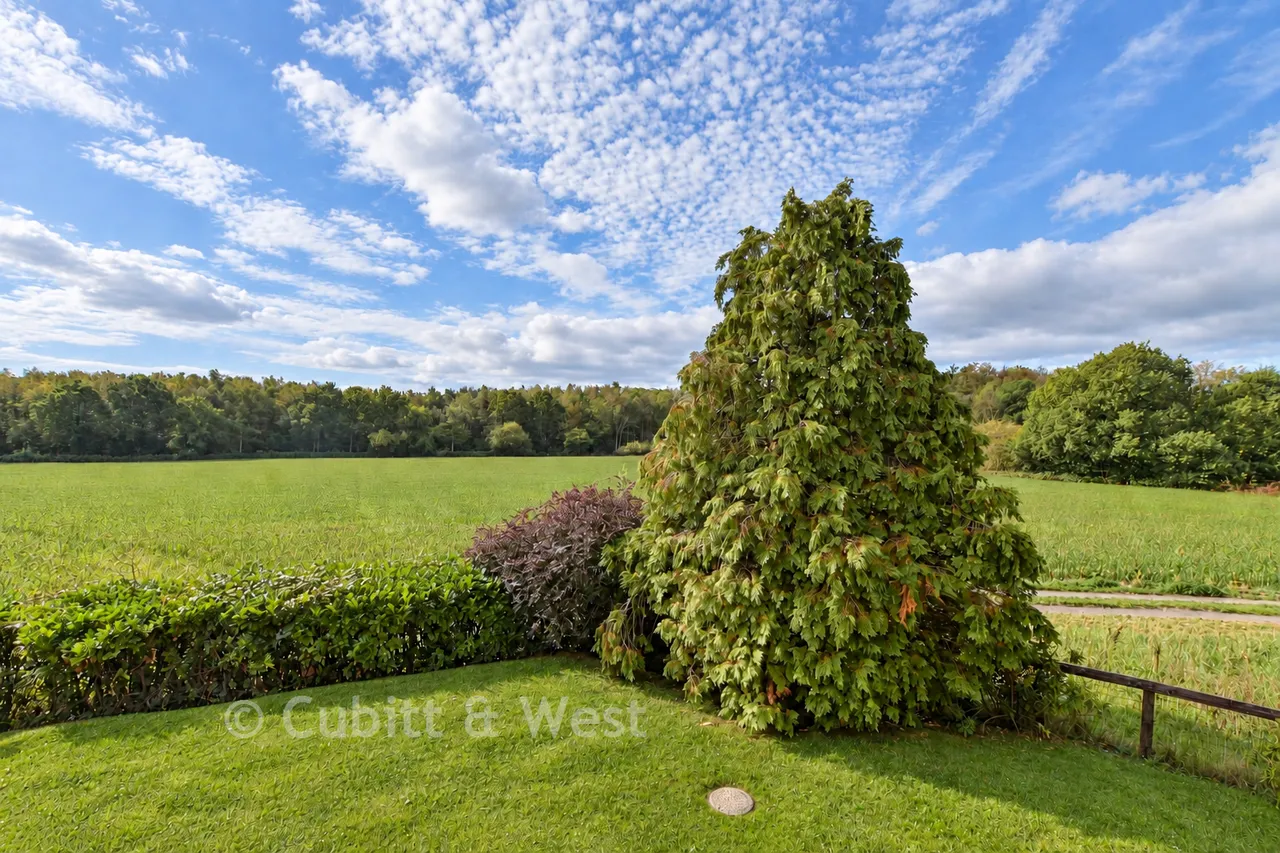 South Street, East Hoathly, BN8, photo 18