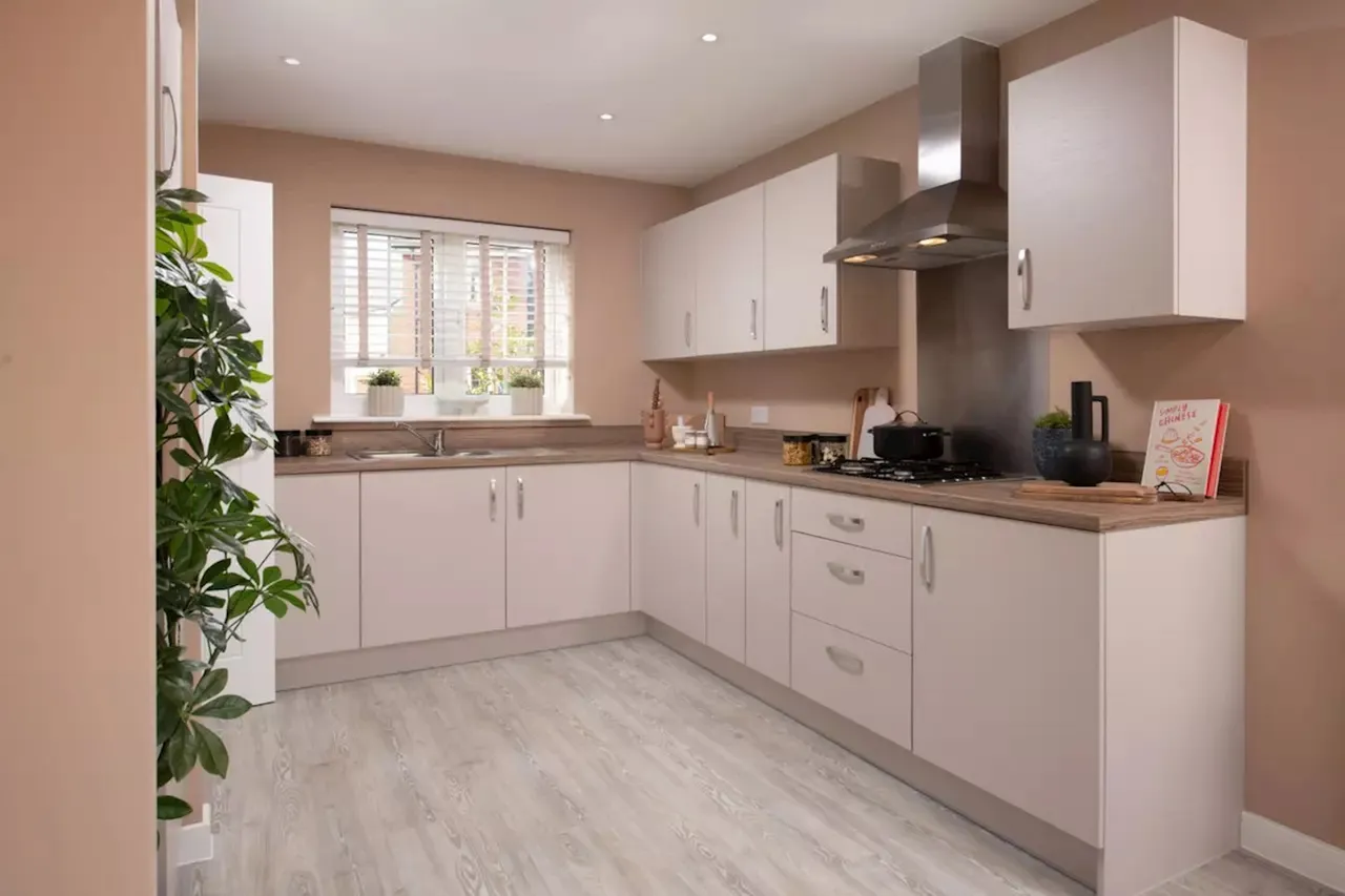 The Ferns, Kennett, CB8, photo 6