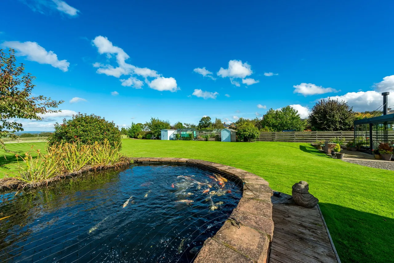 Hayton, Brampton, CA8, photo 35