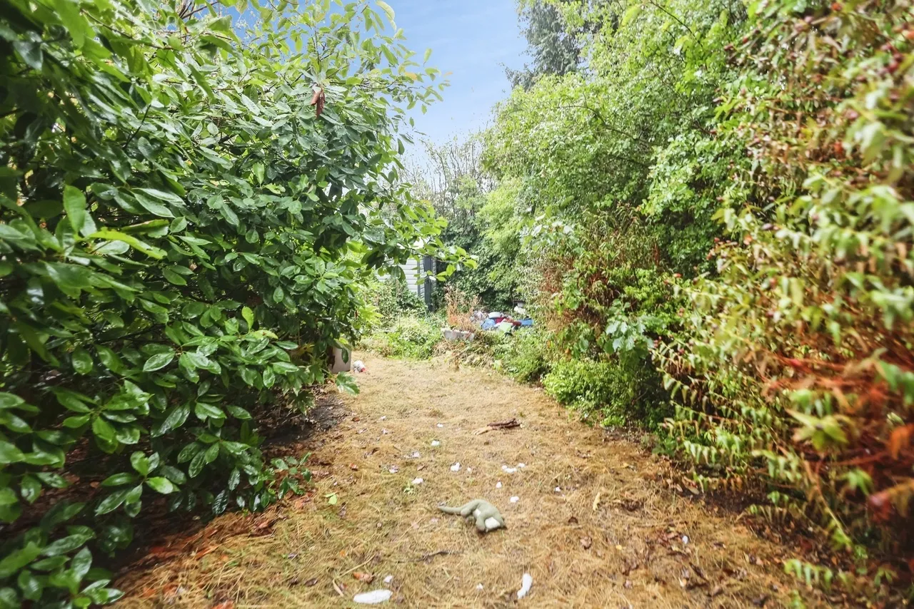 Ellerton Road, Birmingham, B44, photo 14