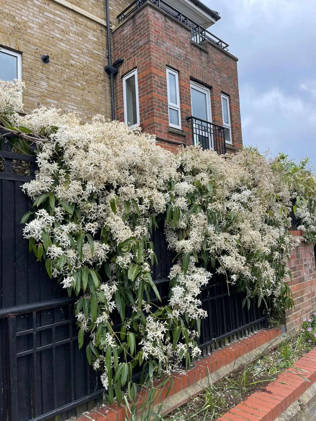 Old Hospital Close, London, SW12, photo 21