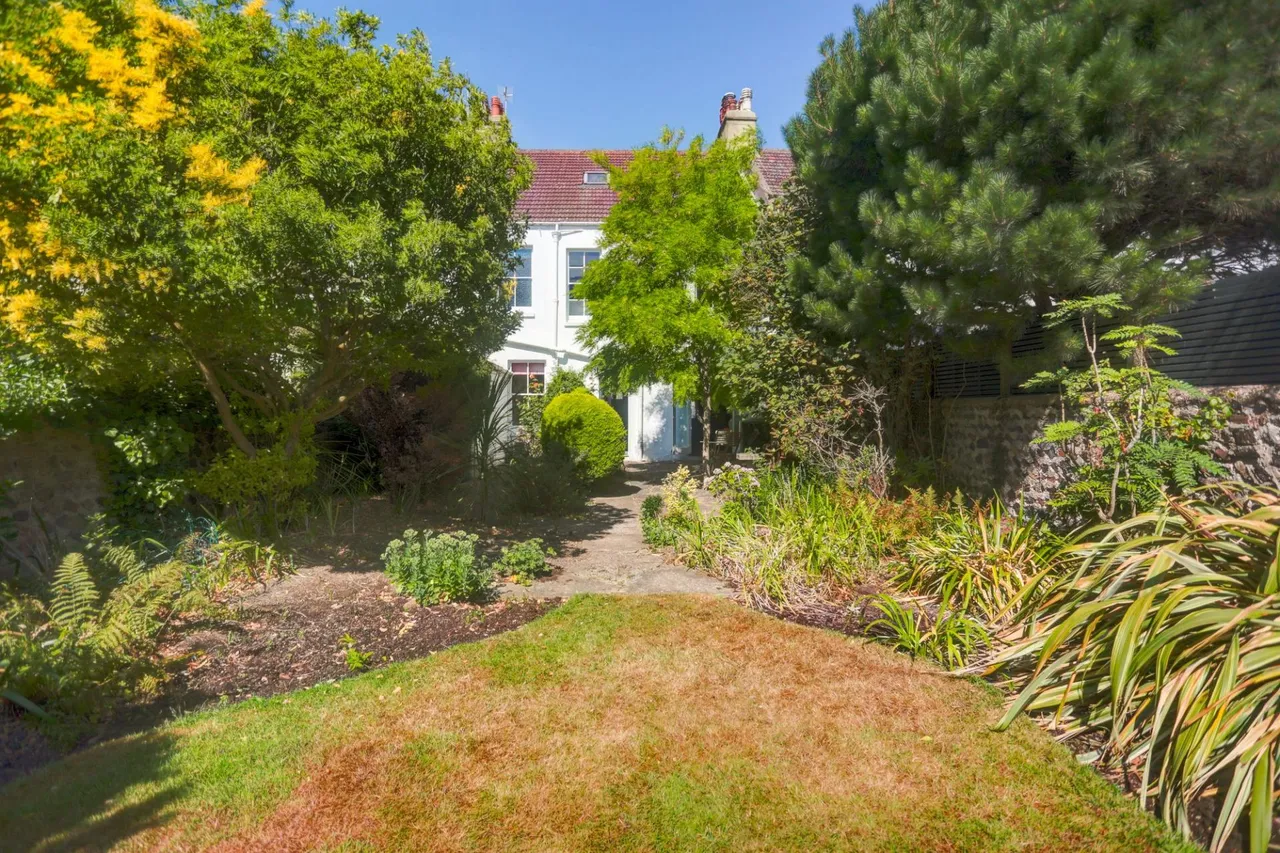 Walsingham Road, Hove, BN3, photo 24