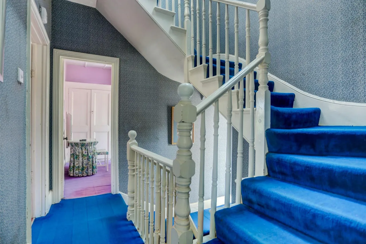 Walsingham Road, Hove, BN3, photo 23