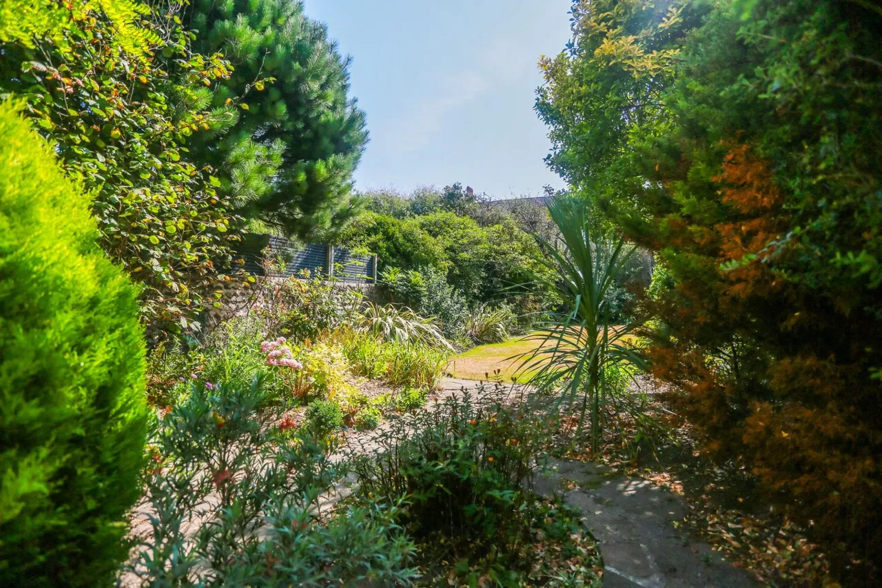 Walsingham Road, Hove, BN3, photo 26