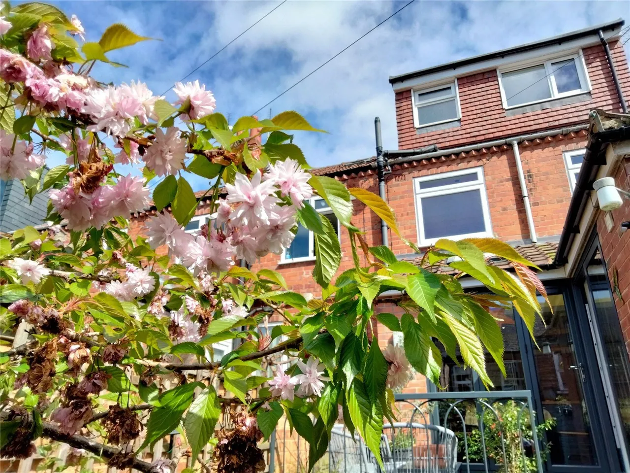 Curzon Terrace, YORK, North Yorkshire, YO23, photo 17
