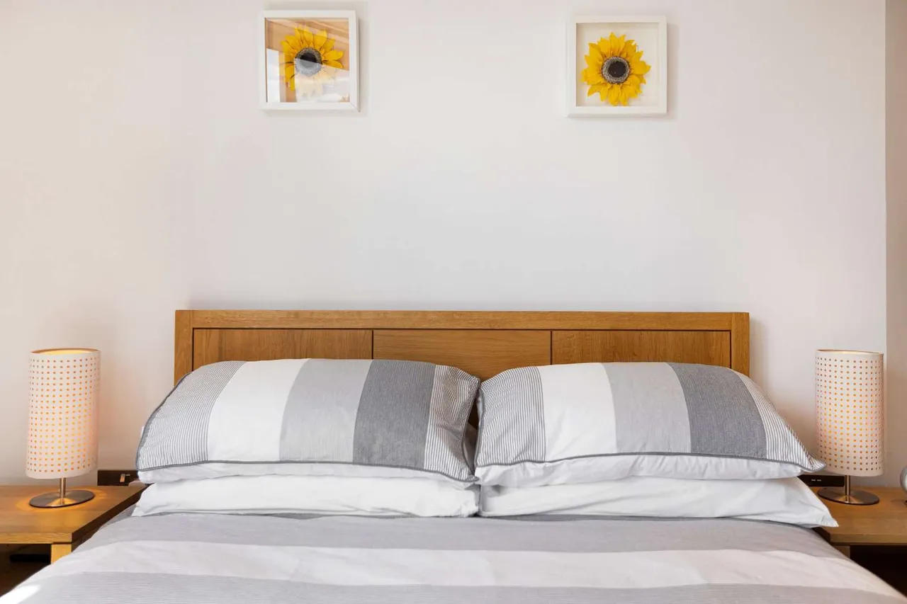 Belmont Road, London, W4 5UL, photo 12