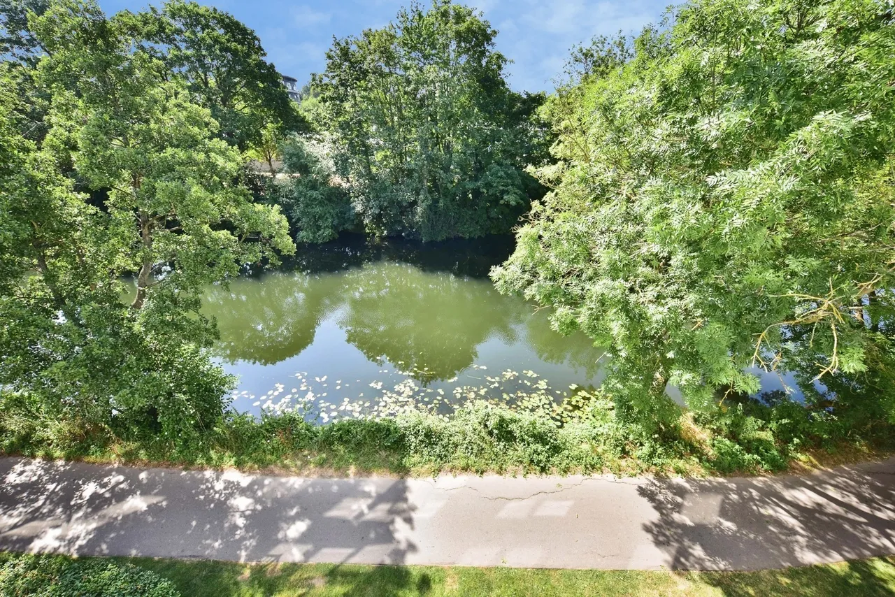 Clifford Way, Maidstone, Kent, ME16, photo 7