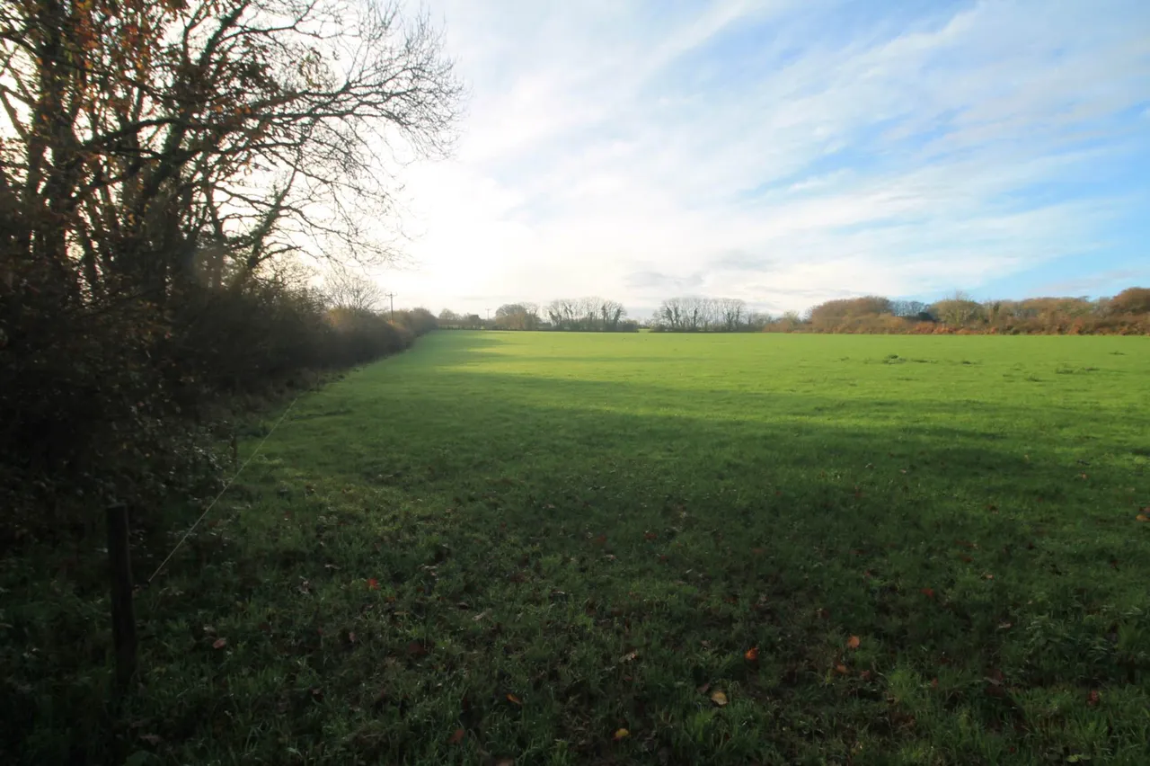 Between The Mill &amp; South E Of The Methodist Church, St Pinnock, PL14 4NA, photo 4