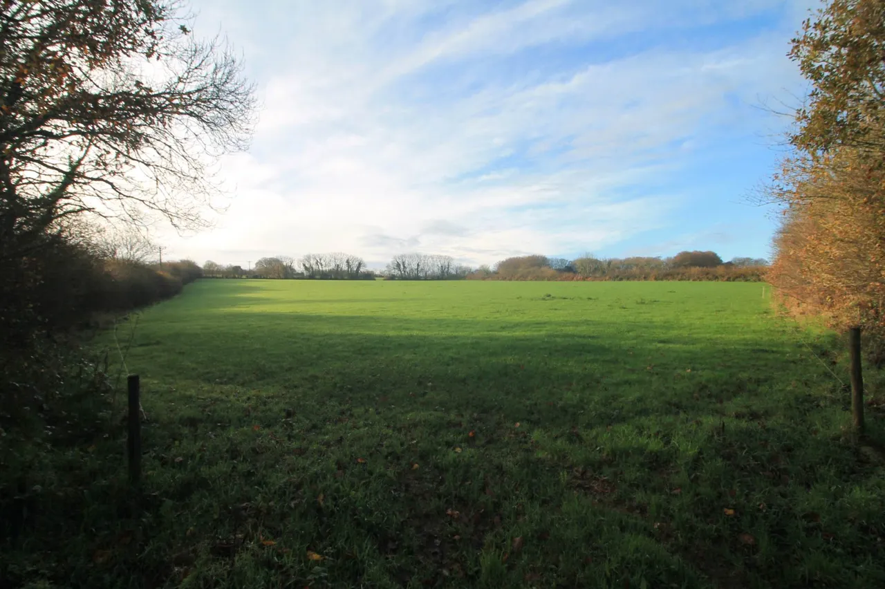 farm land for sale — Between The Mill &amp; South E Of The Methodist Church, St Pinnock, PL14 4NA
