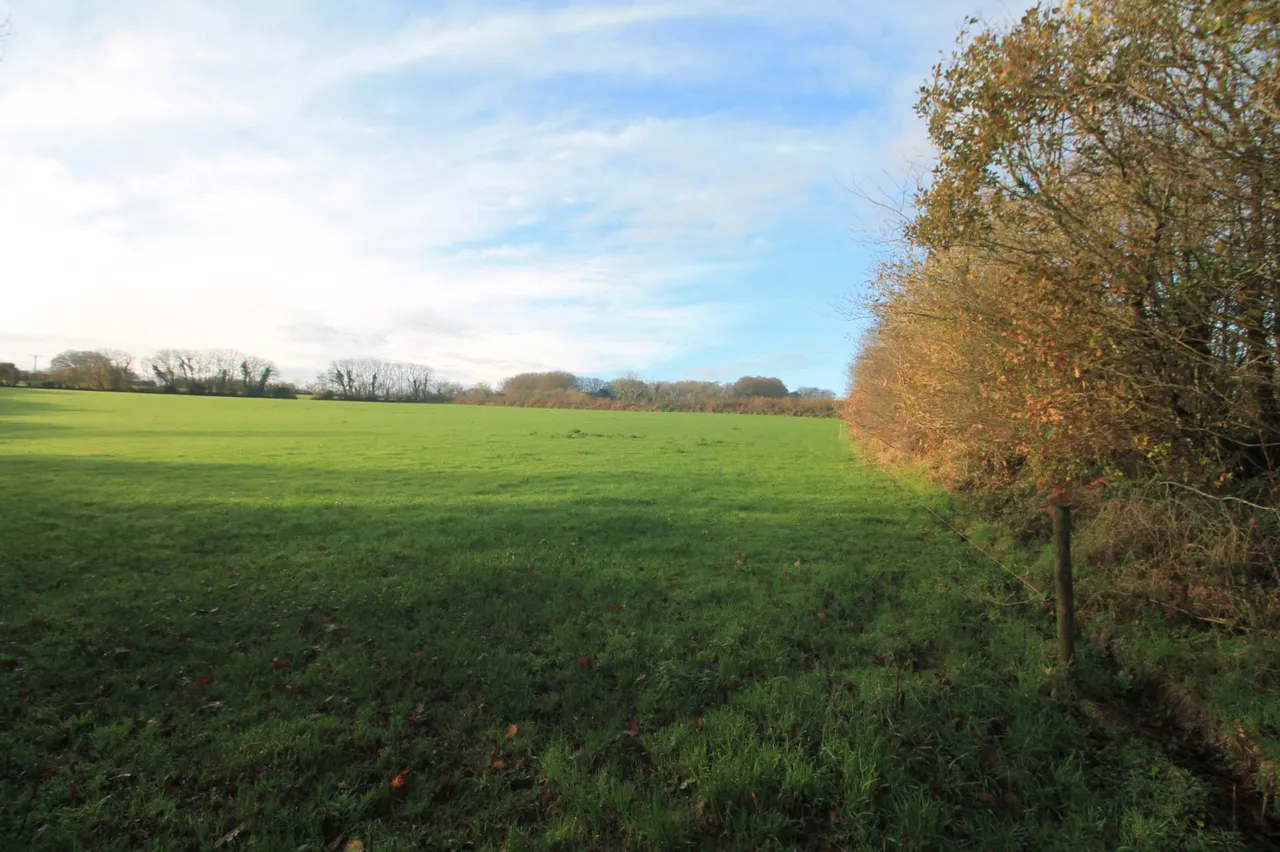 Between The Mill &amp; South E Of The Methodist Church, St Pinnock, PL14 4NA, photo 3