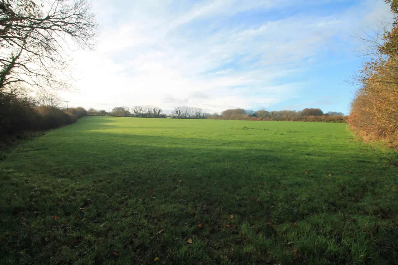 Between The Mill &amp; South E Of The Methodist Church, St Pinnock, PL14 4NA, photo 5
