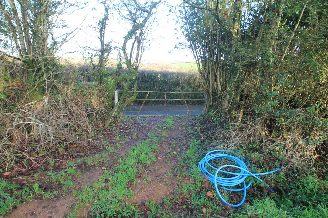 Between The Mill &amp; South E Of The Methodist Church, St Pinnock, PL14 4NA, photo 6