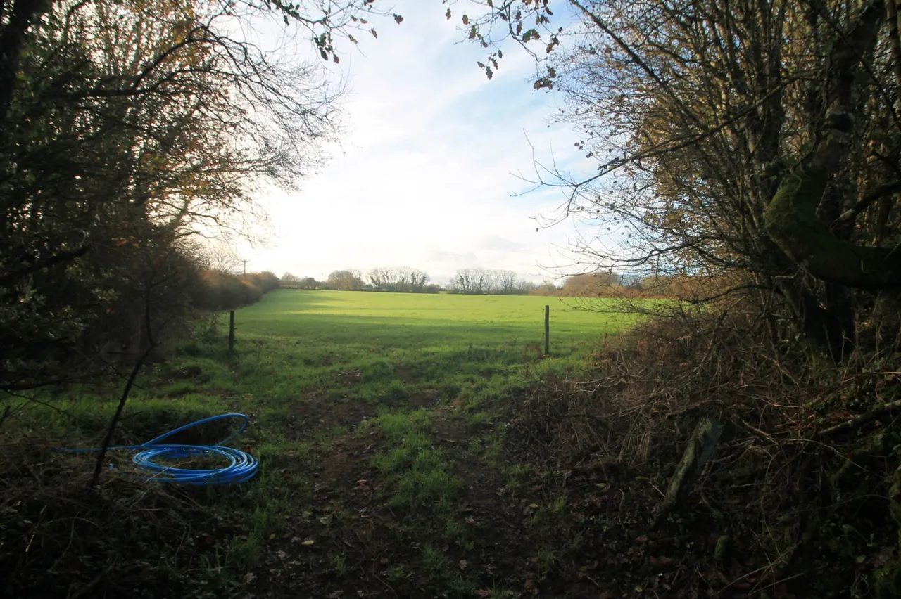 Between The Mill &amp; South E Of The Methodist Church, St Pinnock, PL14 4NA, photo 7