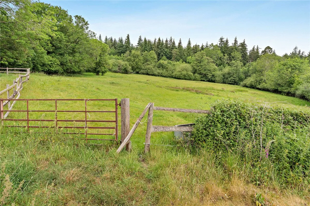Soke Road, Silchester, RG7, photo 19