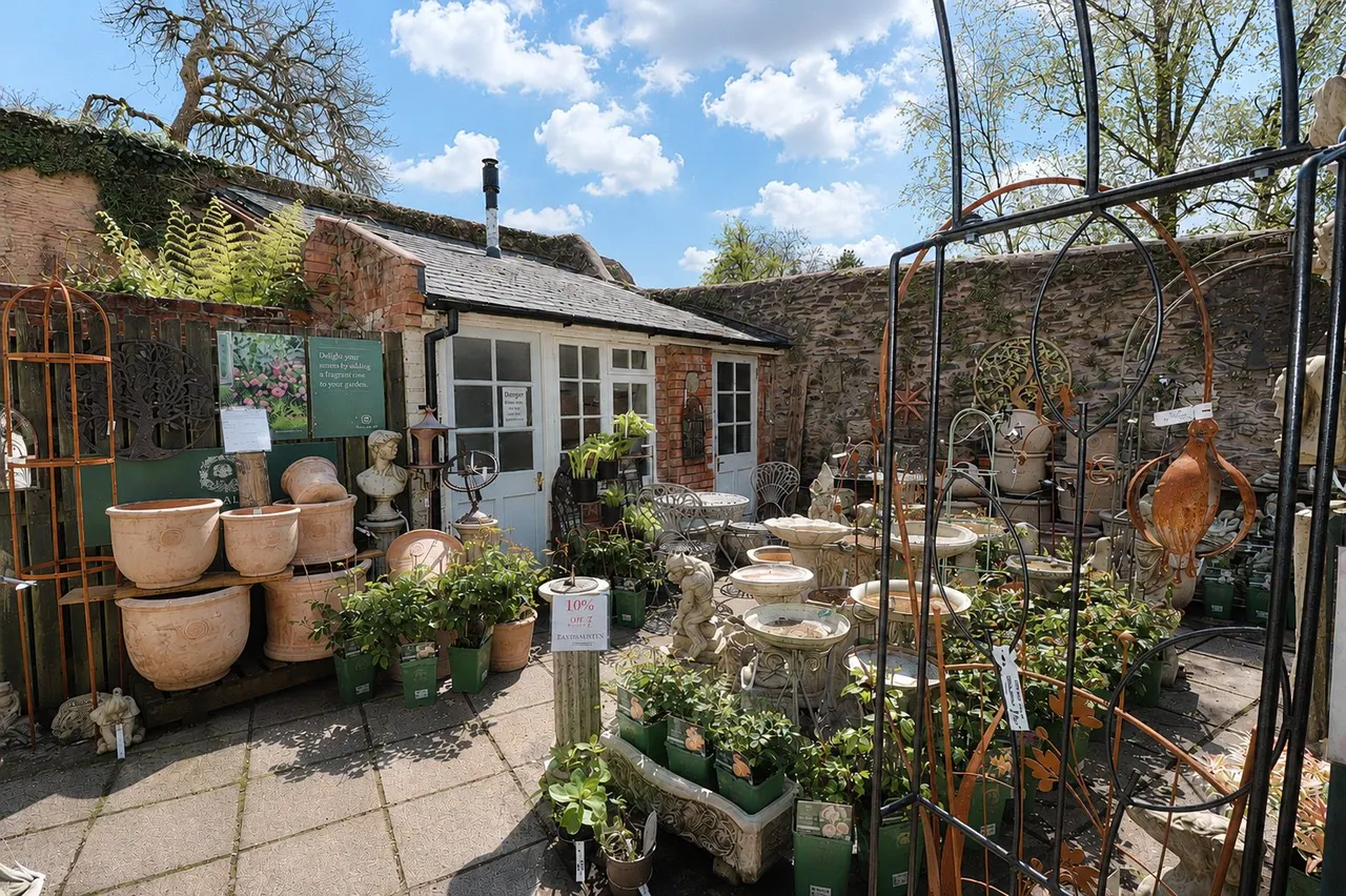 High Street, Dulverton, TA22, photo 8