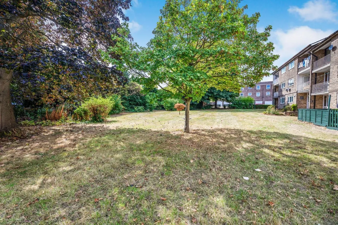 Yew Lane, Sheffield, S5, photo 12