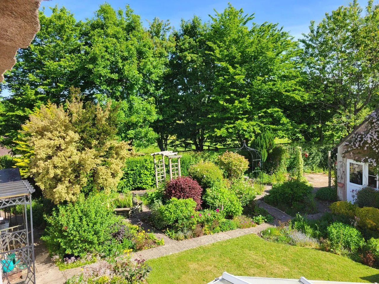 Tansee Hill, Thorncombe, TA20 4LQ, photo 6