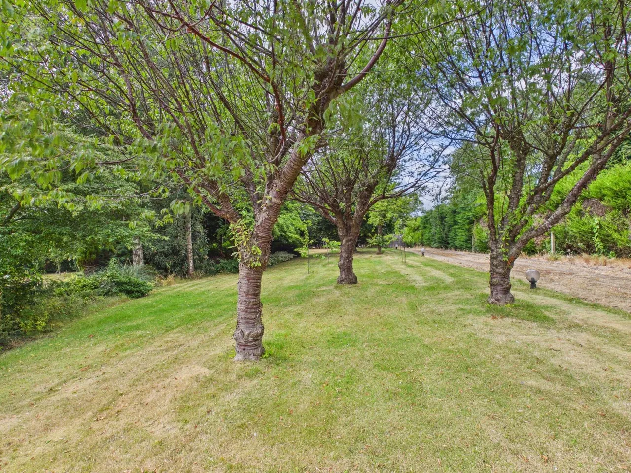 Moorgreen, Newthorpe, NG16, photo 34