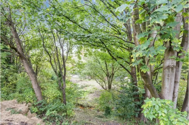Lancaster Avenue, Manchester, M46, photo 29