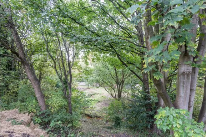 Lancaster Avenue, Manchester, M46, photo 18