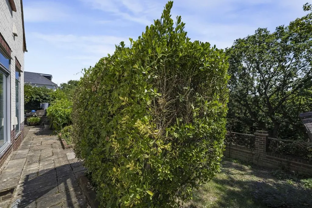 Oakfield Lane, Dartford, DA1, photo 30