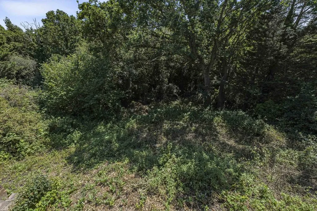 Oakfield Lane, Dartford, DA1, photo 29