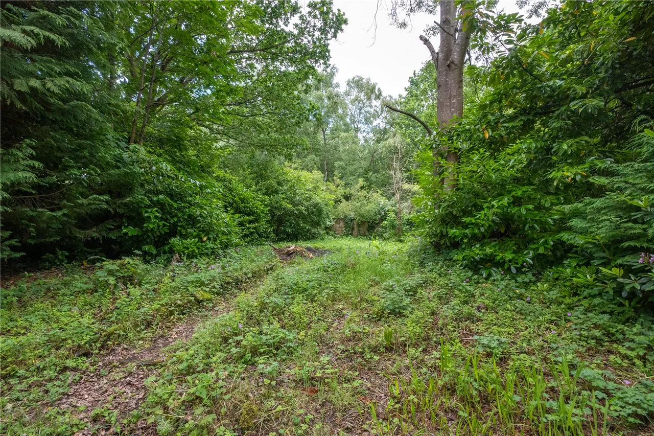 Russell Road, Moseley, Birmingham, B13 8RE, photo 31
