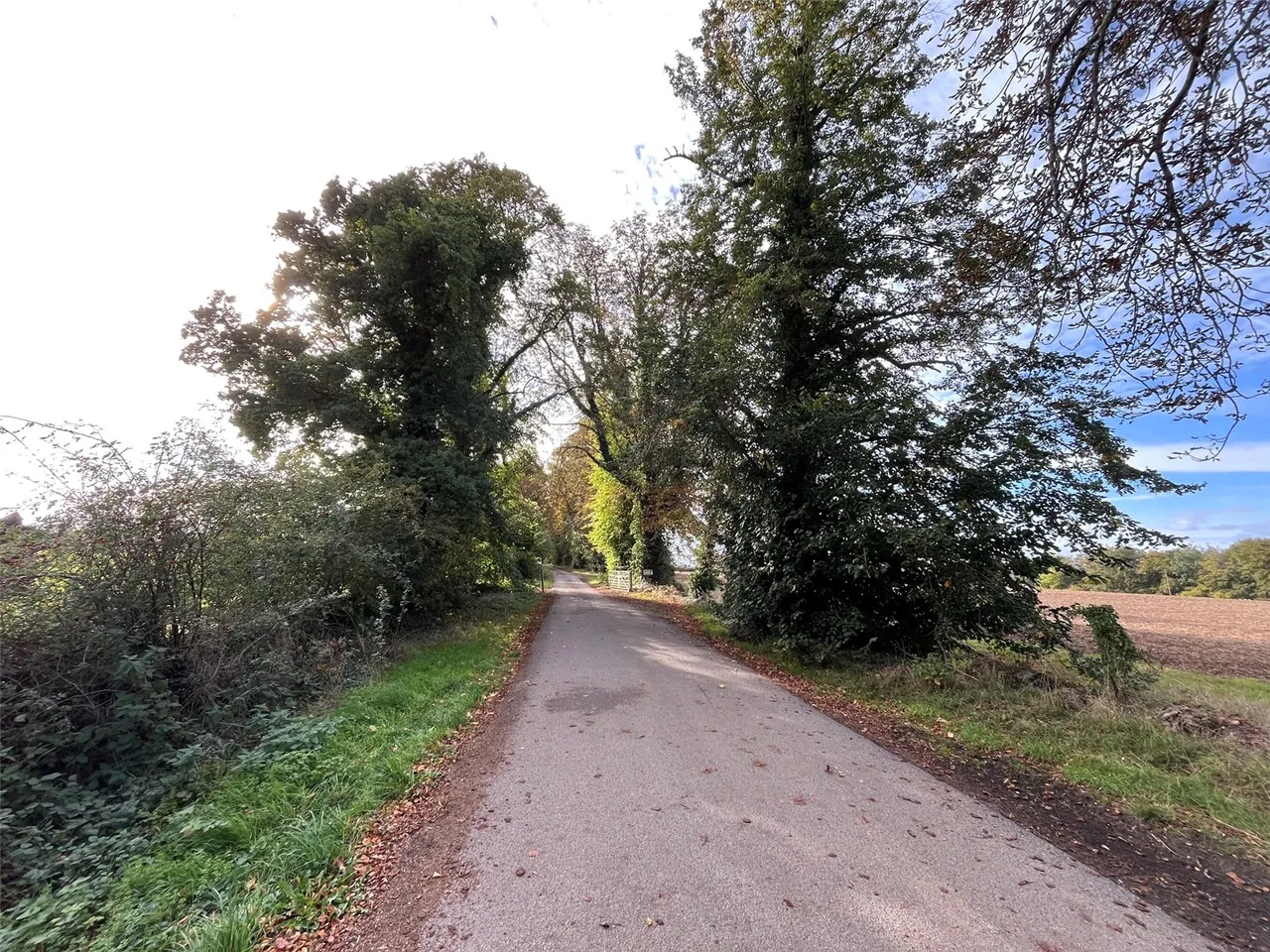 Radstock, Somerset, photo 20