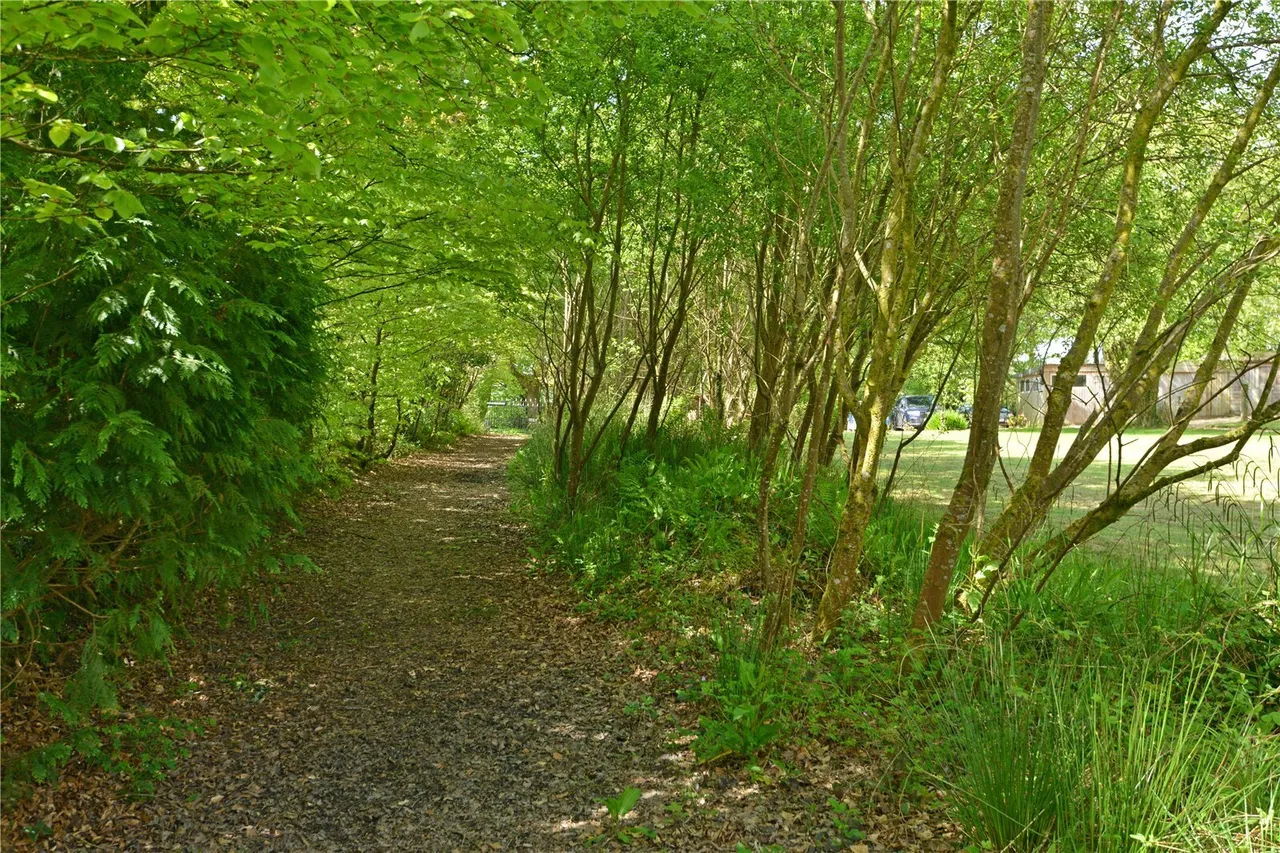 Brandis Corner, Holsworthy, EX22, photo 20