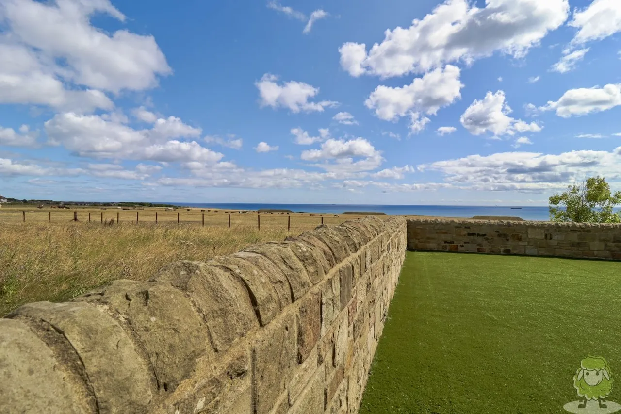 Range View, Whitburn, SR6, photo 6