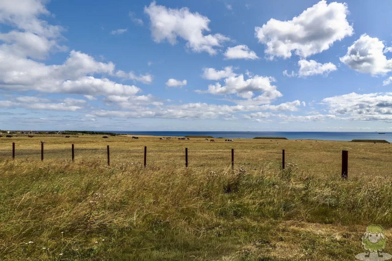Range View, Whitburn, SR6, photo 26