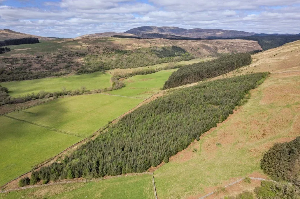 Culreoch Farm, Gatehouse Of Fleet, Castle Douglas, Dumfries & Galloway, DG7 2BN, photo 8