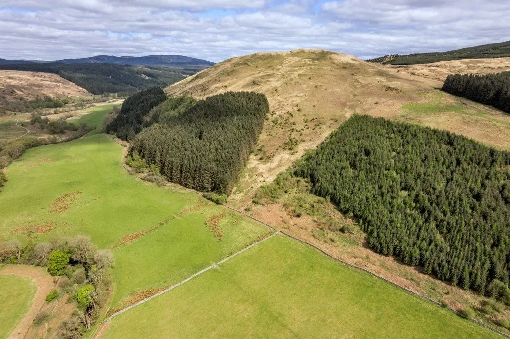 Culreoch Farm, Gatehouse Of Fleet, Castle Douglas, Dumfries & Galloway, DG7 2BN, photo 7