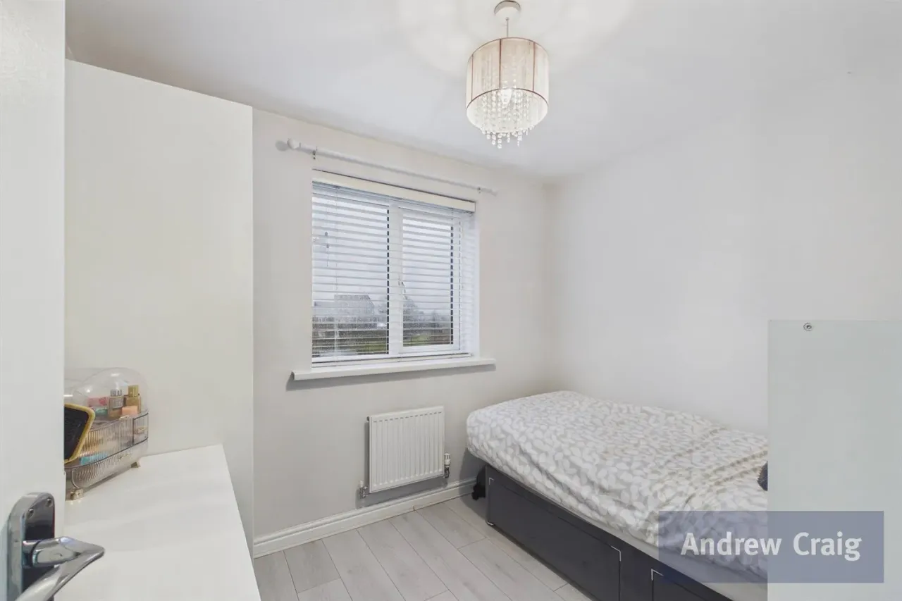 Woolf Drive, South Shields, NE34, photo 13