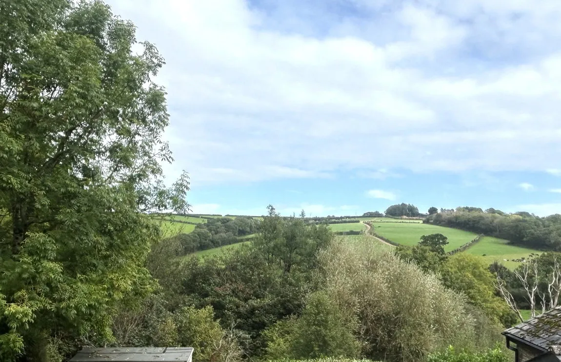 North Petherwin, Launceston, PL15, photo 23