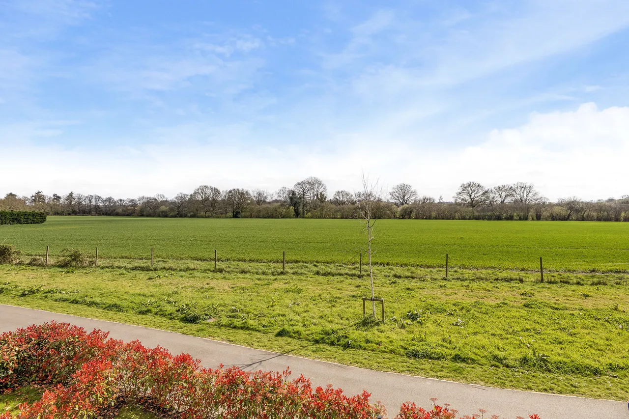 Romaine Road, Cranleigh, GU6, photo 2