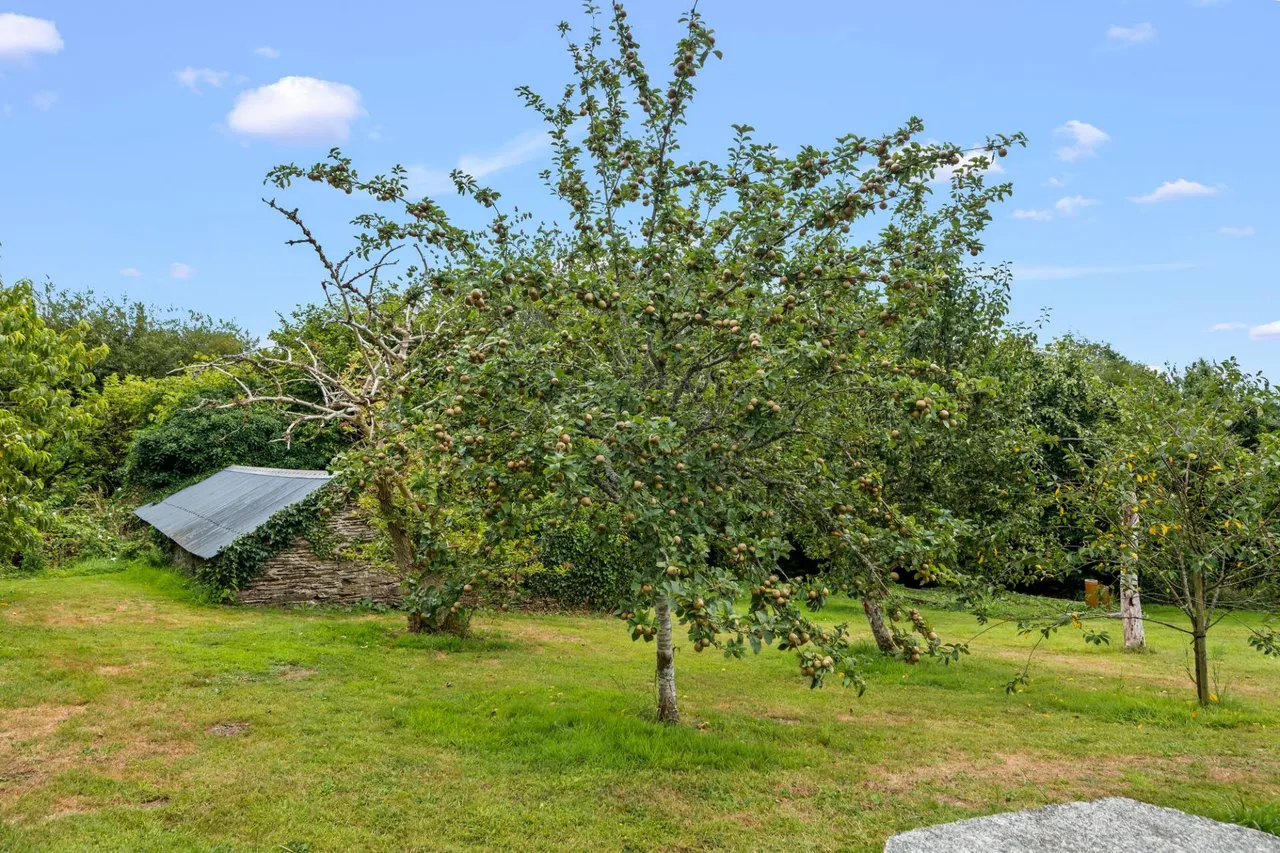 Bere Ferrers, Yelverton, PL20, photo 39