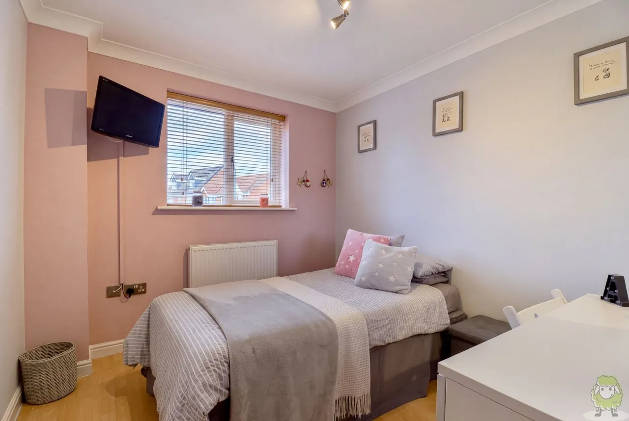 Callum Drive, South Shields, NE34, photo 16