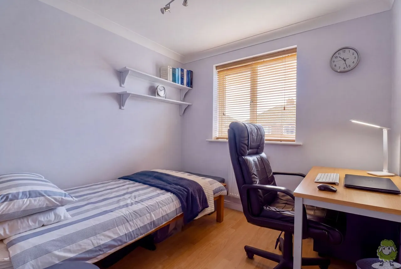 Callum Drive, South Shields, NE34, photo 17
