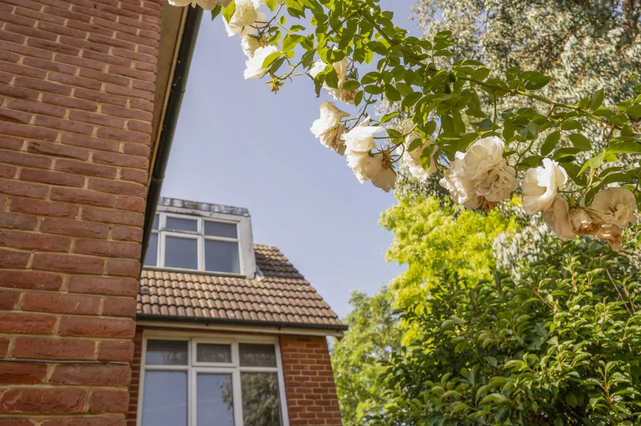 Amity Grove, West Wimbledon, SW20, photo 20