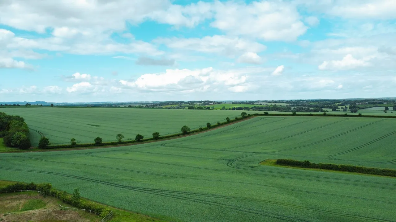 Walnut Tree Way, Shefford, SG17, photo 32