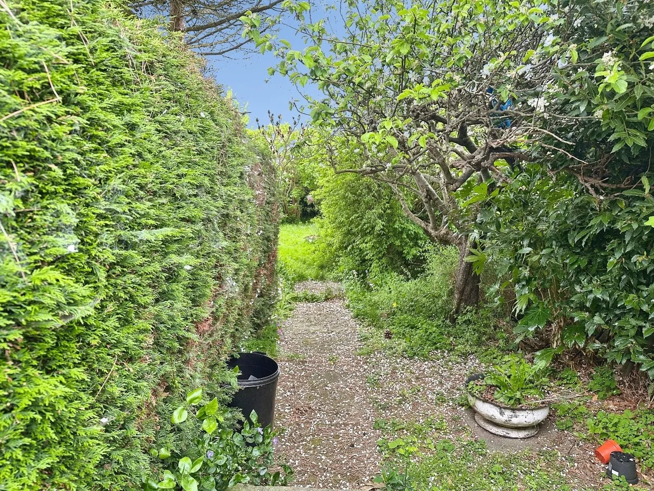 Turreff Avenue, Turreff Avenue, Donnington TF2 8HG, photo 14