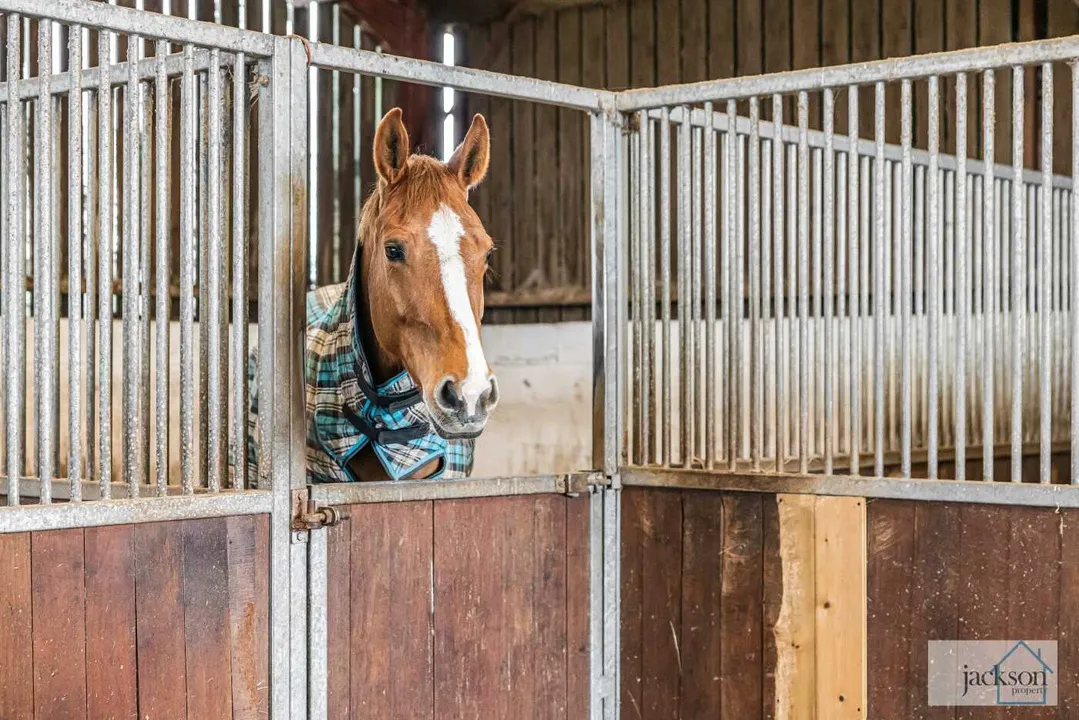 Equestrian Property with 3 Acres, Bowley Lane, Hereford, Herefordshire, photo 48