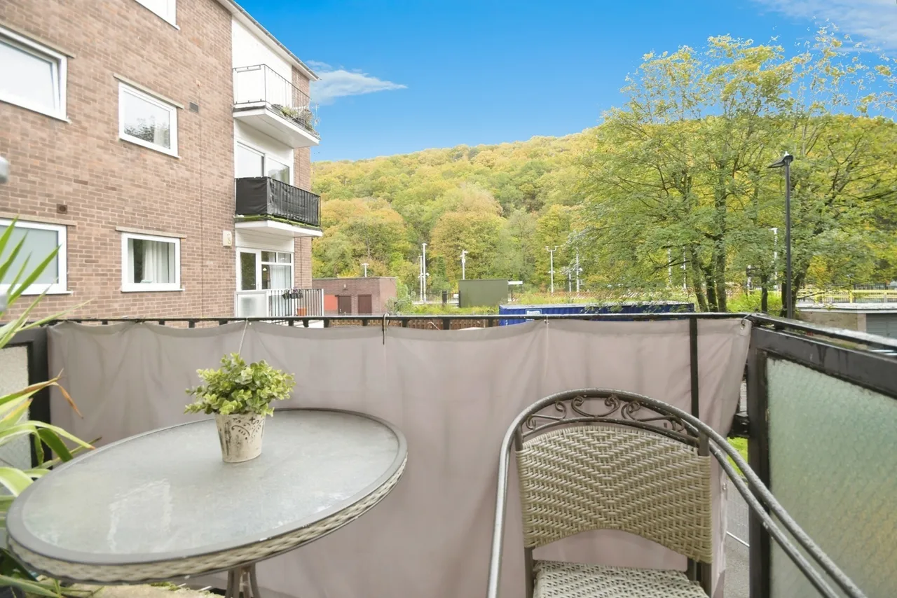 Ladies Spring Drive, Sheffield, South Yorkshire, S17, photo 4