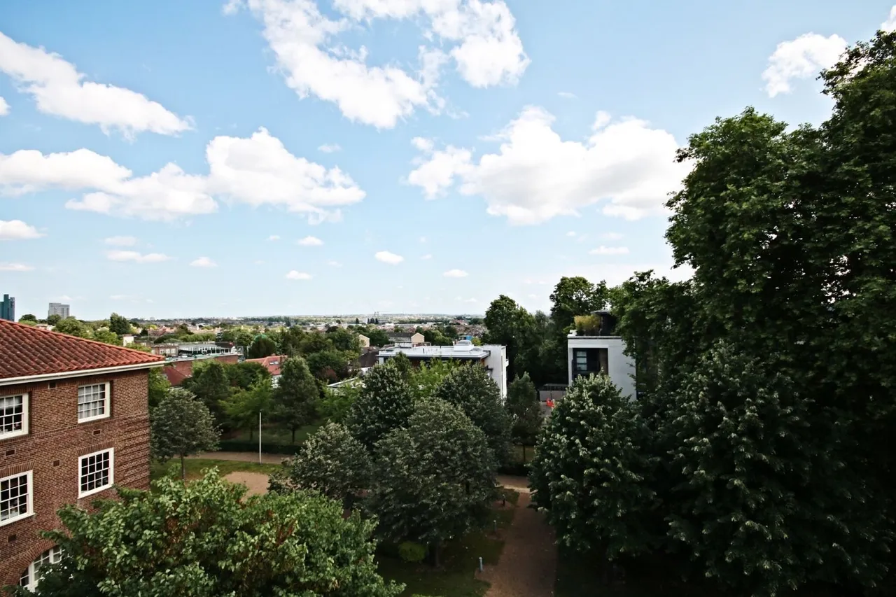 Scott Avenue, Putney, SW15, photo 7
