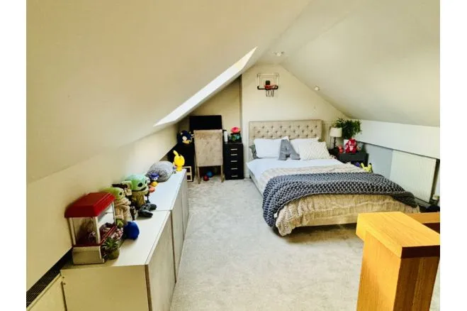 Birch Avenue, Manchester, M35, photo 29