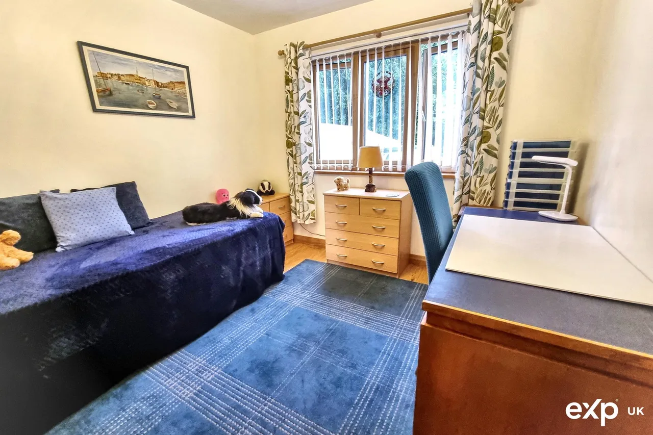 Belle Vue Road, Paignton, TQ4, photo 30