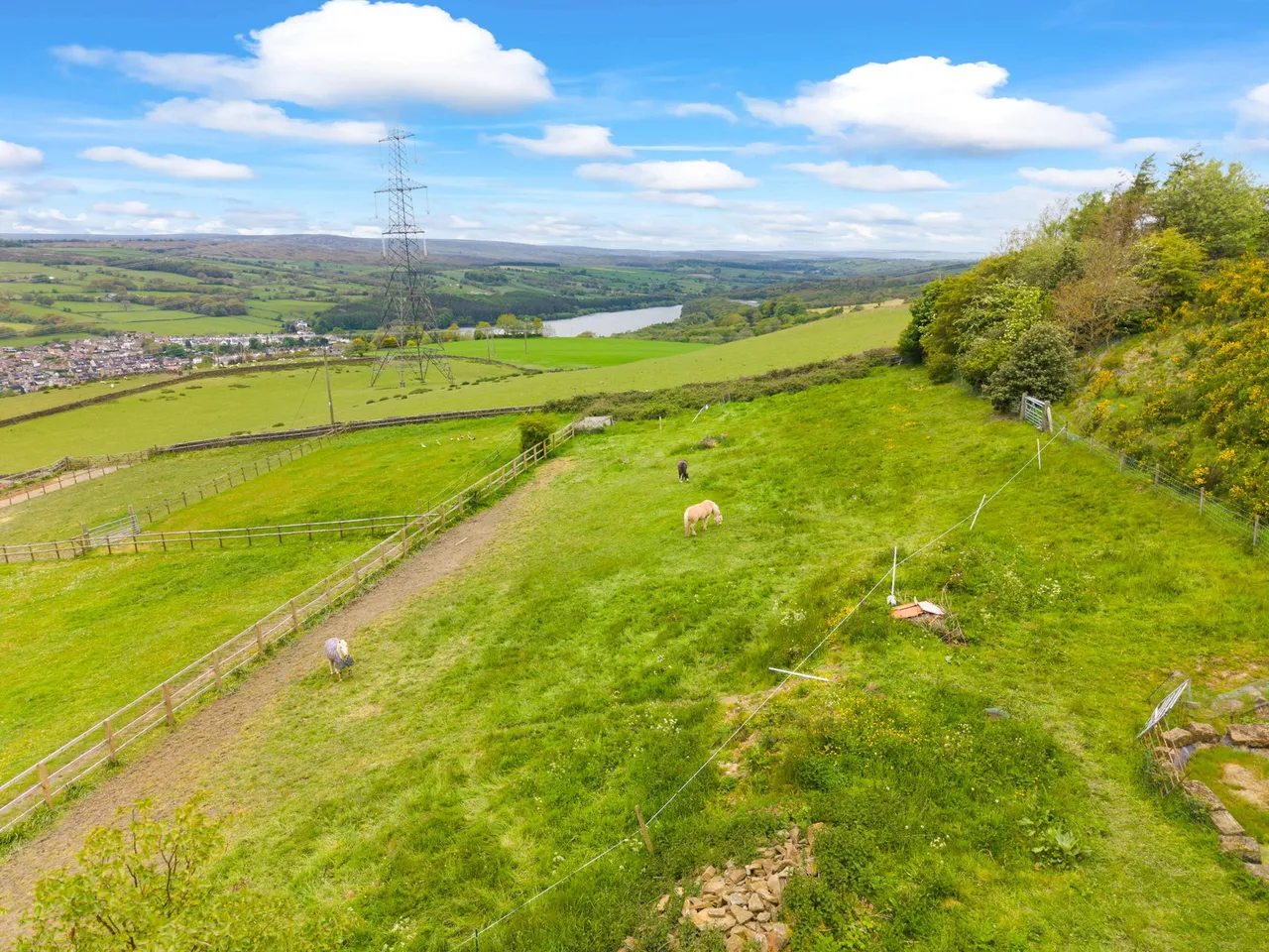 Whinstones, Briery Busk Farm, S36, photo 50