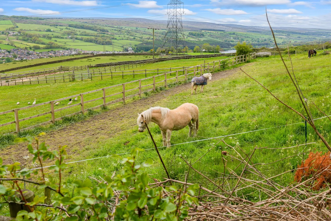 Whinstones, Briery Busk Farm, S36, photo 51